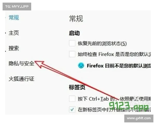 掌握火狐浏览器最新功能升级技巧全面提升上网效率与安全体验