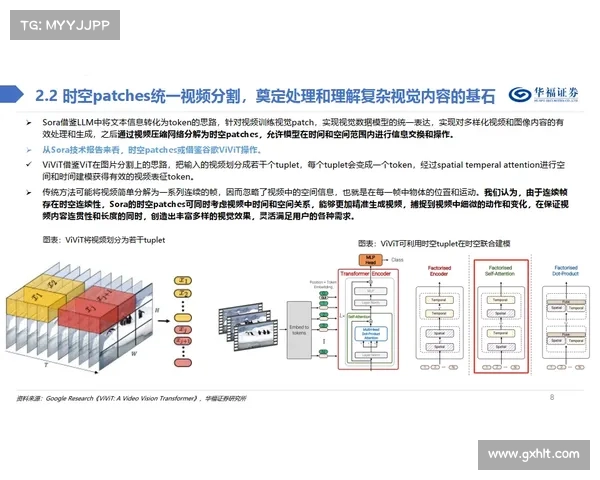 全面解析洛塞尔索五大技巧与核心优势的全景综合深度剖析报告